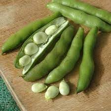 Butterpea Vegetable Seeds for Planting - 100 pcs